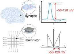 Graphical abstract: Recent progress in bio-voltage memristors working with ultralow voltage of biological amplitude