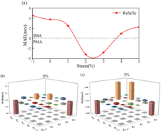 Graphical abstract: Strain-tunable skyrmions in two-dimensional monolayer Janus magnets