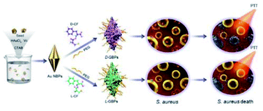 Graphical abstract: Peptide-directed synthesis of chiral nano-bipyramids for controllable antibacterial application