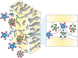 Graphical abstract: Unlocking the potential of polymeric desalination membranes by understanding molecular-level interactions and transport mechanisms