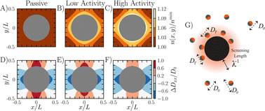 Graphical abstract: Boundary design regulates the diffusion of active matter in heterogeneous environments