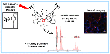 Graphical abstract: Circularly polarized activity from two photon excitable europium and samarium chiral bioprobes