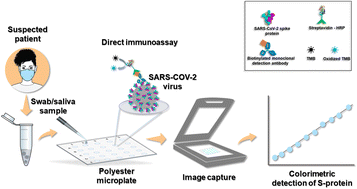 Graphical abstract: Direct immunoassay on a polyester microwell plate for colorimetric detection of the spike protein in swab and saliva samples