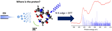 Graphical abstract: Mapping the electronic transitions of protonation sites in peptides using soft X-ray action spectroscopy