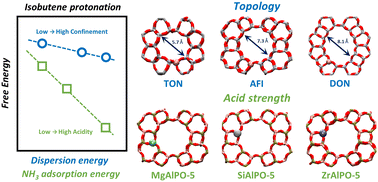 Graphical abstract: Universal descriptors for zeolite topology and acidity to predict the stability of butene cracking intermediates