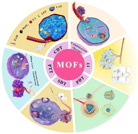 Graphical abstract: Recent advances and prospects of metal–organic frameworks in cancer therapies