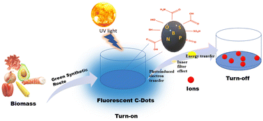 Graphical abstract: Assessment of biomass-derived carbon dots as highly sensitive and selective templates for the sensing of hazardous ions