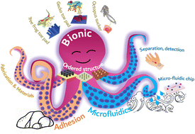 Graphical abstract: Review of biomimetic ordered microstructures in advancing synergistic integration of adhesion and microfluidics