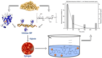 Graphical abstract: Soybean peroxidase immobilised on cellulose-alginate hydrogels for removal of recalcitrant organic pollutants in water