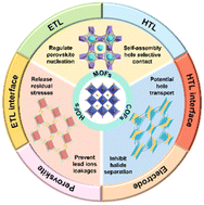 Graphical abstract: Crystalline porous materials in perovskite solar cells: a mutually beneficial marriage