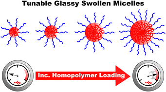Graphical abstract: Unimer suppression enables supersaturated homopolymer swollen micelles with long-term stability after glassy entrapment