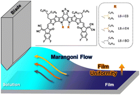Graphical abstract: Enhancing the Marangoni flow by inner side chain engineering in nonfullerene acceptors for reproducible blade coating-processed organic solar cell manufacturing