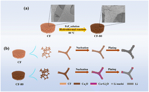 Graphical abstract: Dense cuprous oxide sheath decorated three-dimensional copper foam enabling stable lithium metal anodes