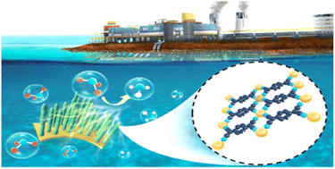 Graphical abstract: Fe(TCNQ)2 nanorod arrays: an efficient electrocatalyst for electrochemical ammonia synthesis via the nitrate reduction reaction