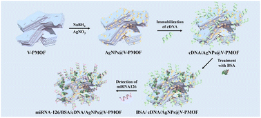 Graphical abstract: A novel PEC and ECL bifunctional aptasensor based on V2CTx MXene-derived MOF embedded with silver nanoparticles for selectively aptasensing miRNA-126