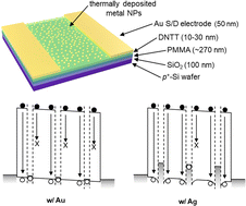 Graphical abstract: Investigating versatile capabilities of organic field-effect transistors incorporated with vacuum-deposited metal nanoparticles