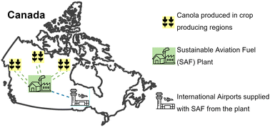 Graphical abstract: A framework to estimate national biofuel potential by siting production facilities: a case study for canola sustainable aviation fuel in Canada