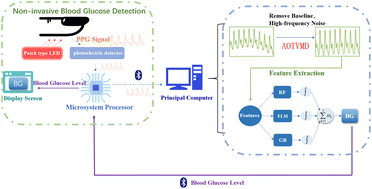 Graphical abstract: A noninvasive blood glucose detection method with strong time adaptability based on fuzzy operator decision fusion and dynamic spectroscopy characteristics of PPG signals