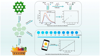 Graphical abstract: A practical fluorometric and colorimetric dual-mode sensing platform based on two-dimensional porous organic nanosheets for rapid determination of trifluralin