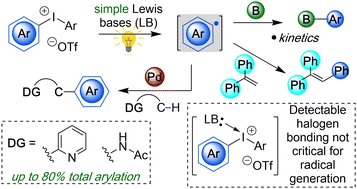 Graphical abstract: Exogenous photocatalyst-free aryl radical generation from diaryliodonium salts and use in metal-catalyzed C–H arylation