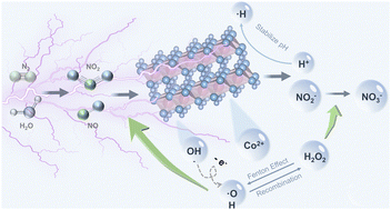 Graphical abstract: Solution plasma-cobalt hydroxide-enabled nitrogen fixation