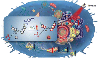 Graphical abstract: Ferroptosis-inducing photosensitizers alleviate hypoxia tumor microenvironment for enhanced fluorescence imaging-guided photodynamic therapy