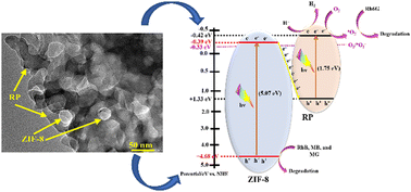 Graphical abstract: Enhanced performance of dual-functional ZIF-8/red phosphorus photocatalysts for concurrent degradation of organic dyes and hydrogen generation under natural solar light irradiation