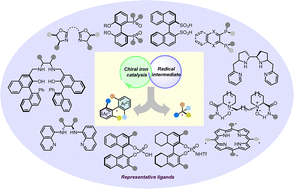 Graphical abstract: Recent progress in asymmetric radical reactions enabled by chiral iron catalysts