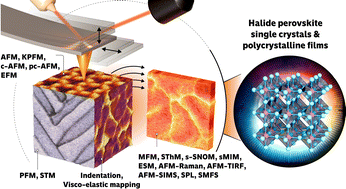 Graphical abstract: Footprints of scanning probe microscopy on halide perovskites