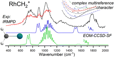 Graphical abstract: IR spectroscopic characterization of [M,C,2H]+ (M = Ru and Rh) products formed by reacting 4d transition metal cations with oxirane: Spectroscopic evidence for multireference character in RhCH2+