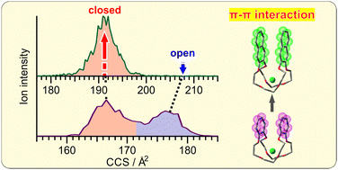 Graphical abstract: Intra-host π–π interactions in crown ether complexes revealed by cryogenic ion mobility-mass spectrometry
