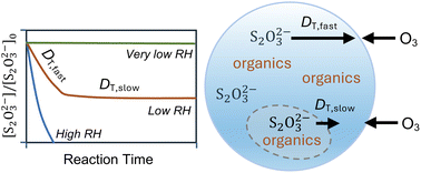 Graphical abstract: Probe molecular diffusivity in single ternary inorganic–organic microdroplets via interfacial ozonolysis of thiosulfate