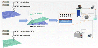Graphical abstract: F-SiO2-embedded PLA-based superhydrophobic nanofiber membrane for highly efficient membrane distillation