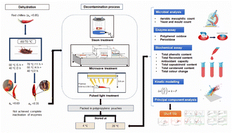 Graphical abstract: Extending the shelf life of red chilies (Capsicum annuum): exploring steam, microwave, and pulsed light treatments under different storage conditions