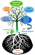 Graphical abstract: Biomass-derived carbon-based catalysts for lignocellulosic biomass and waste valorisation: a circular approach