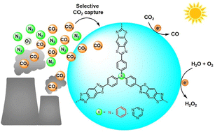 Graphical abstract: Metal-free polymer photocatalysts for efficient gas-phase reduction of atmospheric CO2 and simultaneous H2O2 production