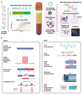 Graphical abstract: Challenges in blood fractionation for cancer liquid biopsy: how can microfluidics assist?