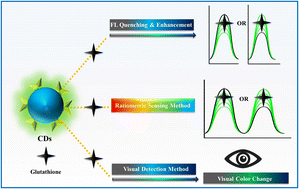 Graphical abstract: Carbon dot as fluorescence sensor for glutathione in human serum samples: a review