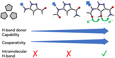 Graphical abstract: Augmentation of inductive effects through short range intramolecular hydrogen bonds for the improvement of cooperativity of trimeric rosettes