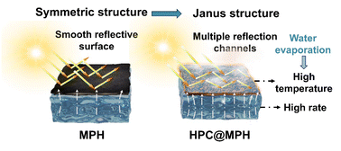 Graphical abstract: Highly salt-resistant and efficient dynamic Janus absorber based on thermo-responsive hydroxypropyl cellulose