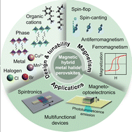 Graphical abstract: Engineering magnetism in hybrid organic–inorganic metal halide perovskites