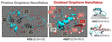 Graphical abstract: Graphitic nanoflakes modulate the structure and binding of human amylin