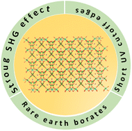 Graphical abstract: Chemical substitution towards a rare-earth borate ultraviolet NLO crystal exhibiting a strong SHG response