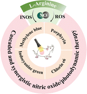 Graphical abstract: Nanogenerators with l-arginine loading: new choices as cascade and synergistic nitric oxide/photodynamic antitumor agents