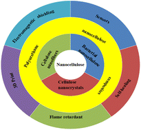 Graphical abstract: Preparation of nanocellulose and application of nanocellulose polyurethane composites