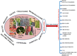 Graphical abstract: Fungal pretreatment methods for organic wastes: advances and challenges in biomass valorization
