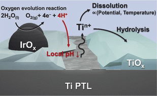 Graphical abstract: Dissolution of the Ti porous transport layer in proton exchange membrane water electrolyzers