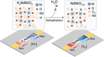 Graphical abstract: Manipulating protons and oxygen vacancies in nickelate oxides via thermochemical dehydration