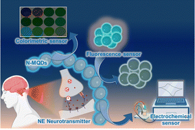 Graphical abstract: Instant synthesis of nitrogen-doped Ti3C2 MXene quantum dots for fluorescence and electrochemical dual-mode detection of norepinephrine with a portable smartphone assay