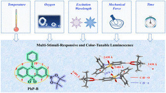 Graphical abstract: Achieving multi-stimuli-responsive and color-tunable luminescence from ultralong organic phosphorescent materials